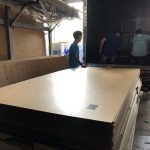 Mica Trung Quốc (PS) - ảnh 3